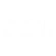 Pascal Benecke - Artworks